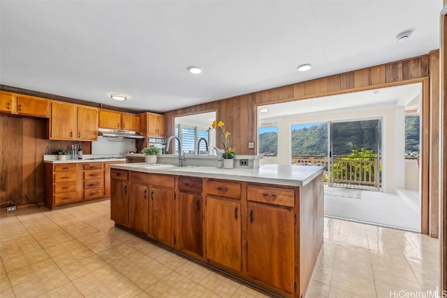 kitchen featuring wooden walls, light countertops, and a sink