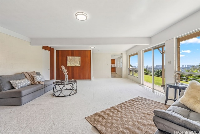 view of carpeted living room