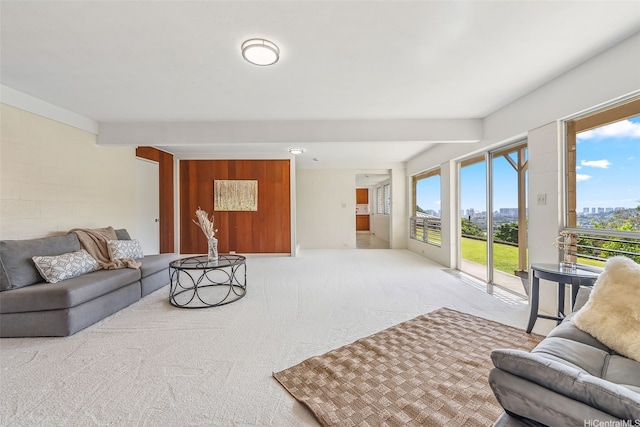 living area with carpet