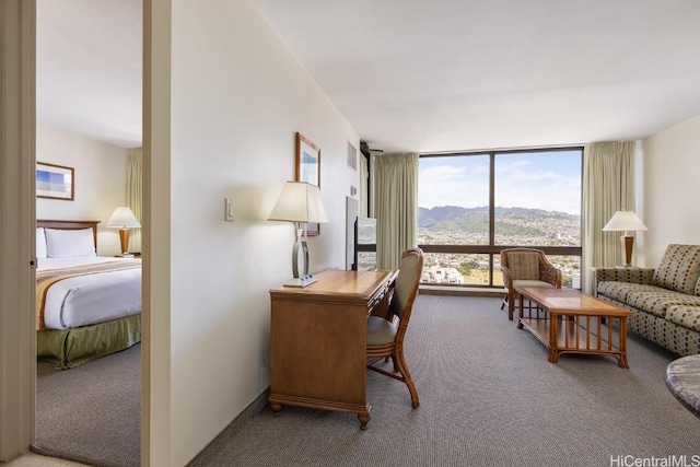 carpeted office space with a mountain view and floor to ceiling windows