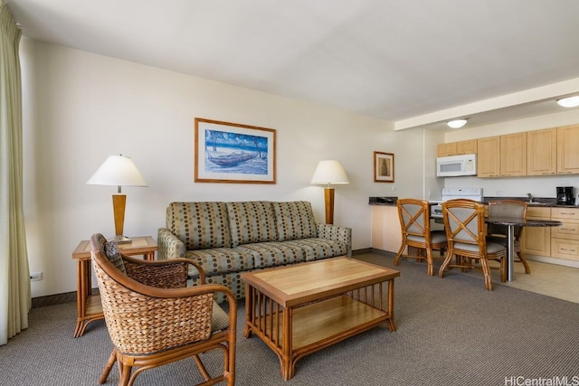 living room with light colored carpet