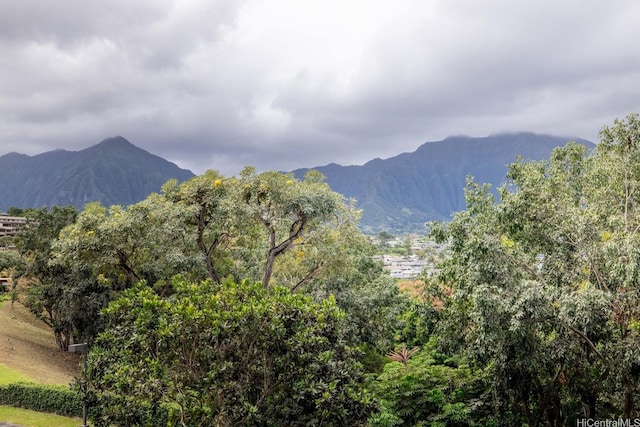 mountain view