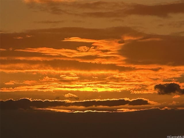 700 Richards St Unit 2403, Honolulu, HI 96813 - view of nature at dusk
