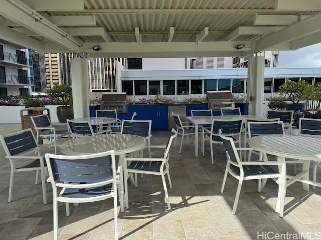 view of patio / terrace with outdoor dining area and grilling area