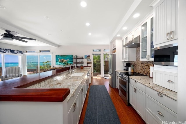 kitchen with tasteful backsplash, under cabinet range hood, dark wood finished floors, stainless steel appliances, and a sink