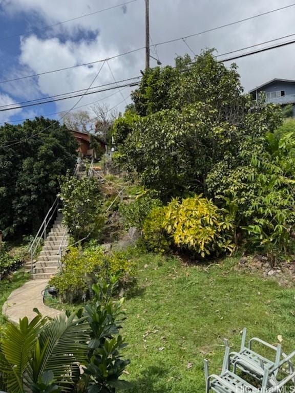 view of yard with stairway