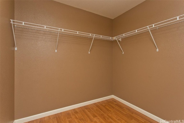 spacious closet featuring wood finished floors