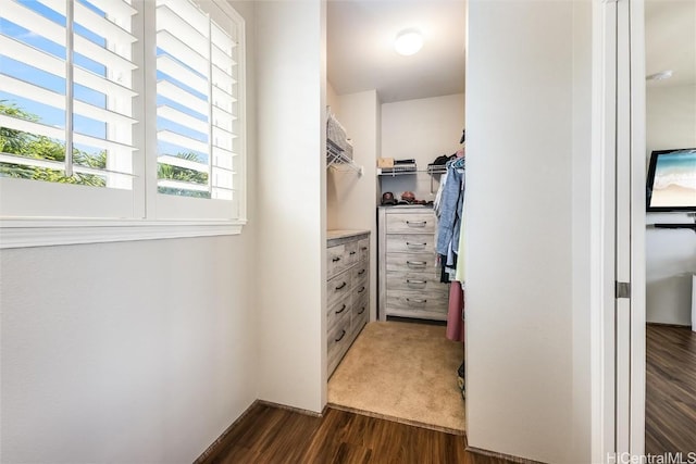 walk in closet with dark wood-style floors