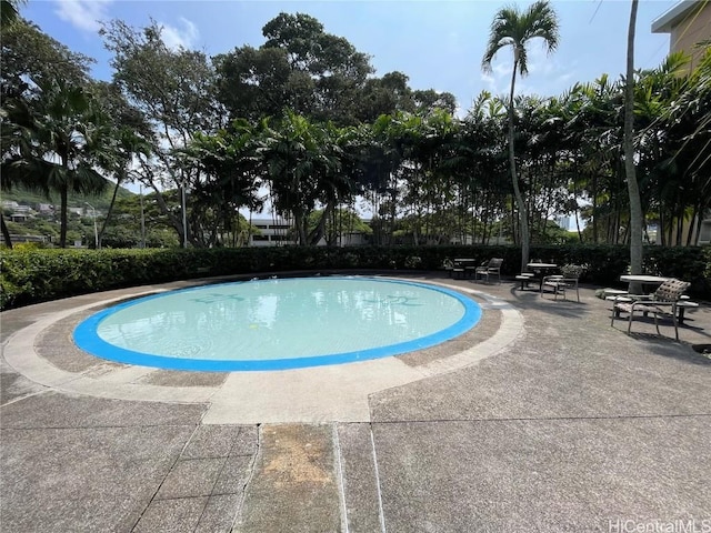 view of swimming pool with a patio area and a fenced in pool