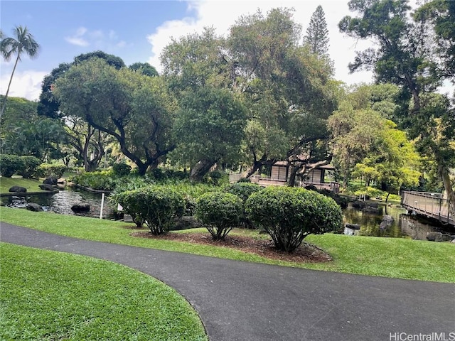 view of community featuring a water view and a lawn