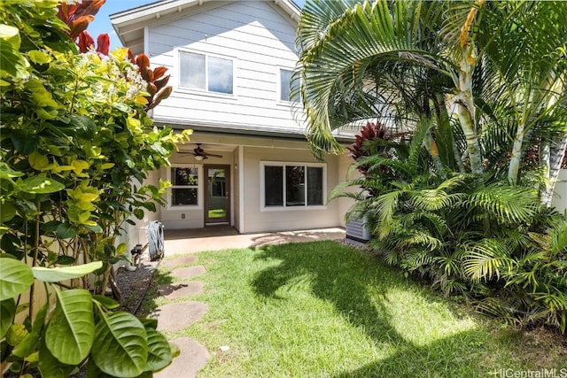 back of house with a yard and a ceiling fan