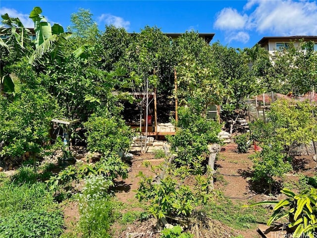 view of yard featuring a garden