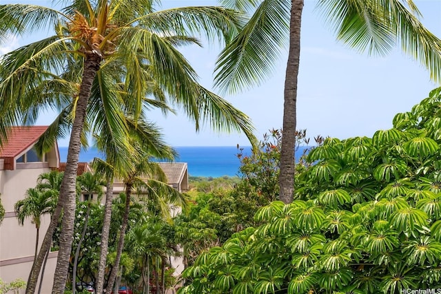 84-754 Ala Mahiku St Unit 31C, Waianae, HI 96792 - water view