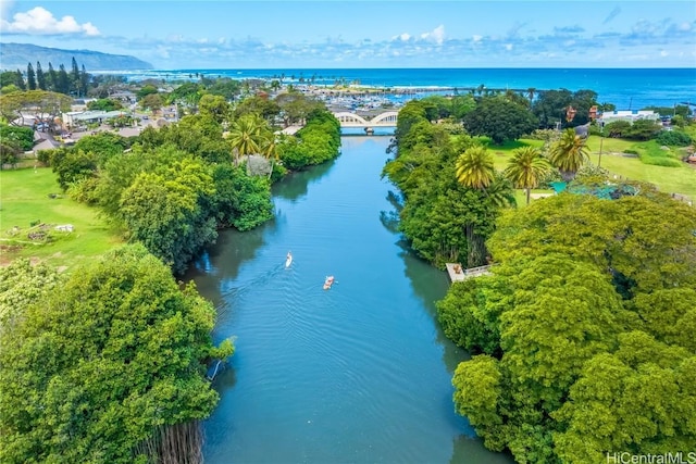 bird's eye view with a water view