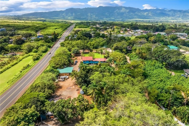 drone / aerial view with a mountain view