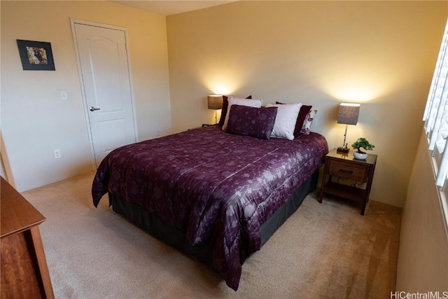 bedroom featuring carpet floors