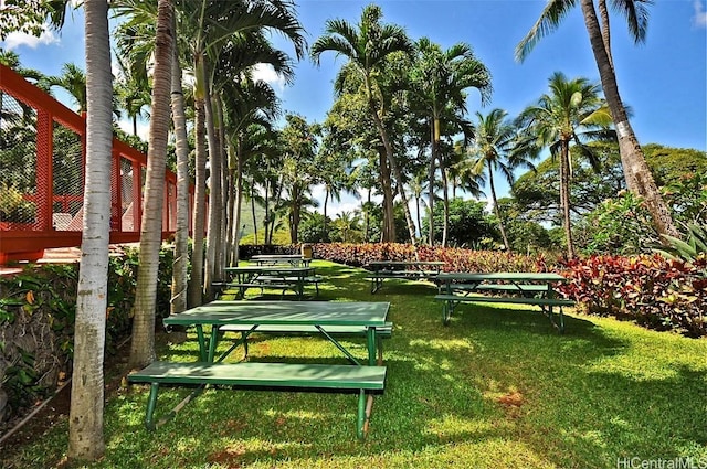 view of property's community featuring a lawn