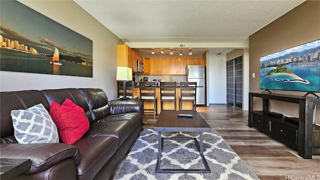 living room featuring a textured ceiling, dark wood finished floors, and rail lighting