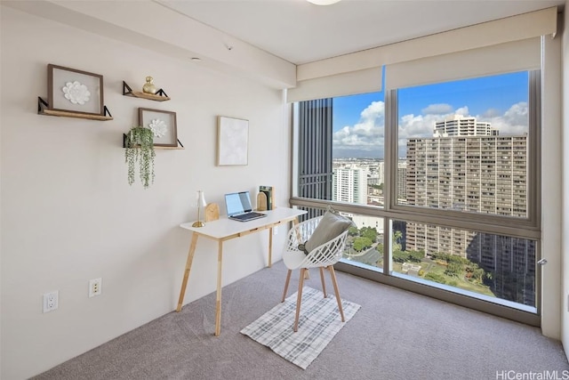 carpeted office with expansive windows and a city view