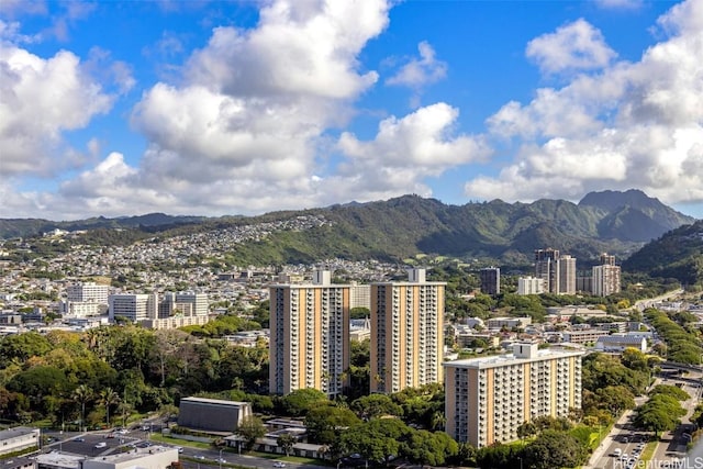 view of city featuring a mountain view