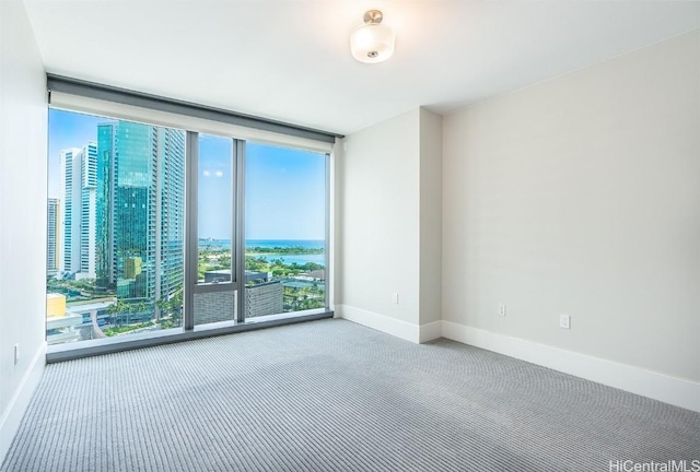 spare room with carpet floors, floor to ceiling windows, a water view, and baseboards