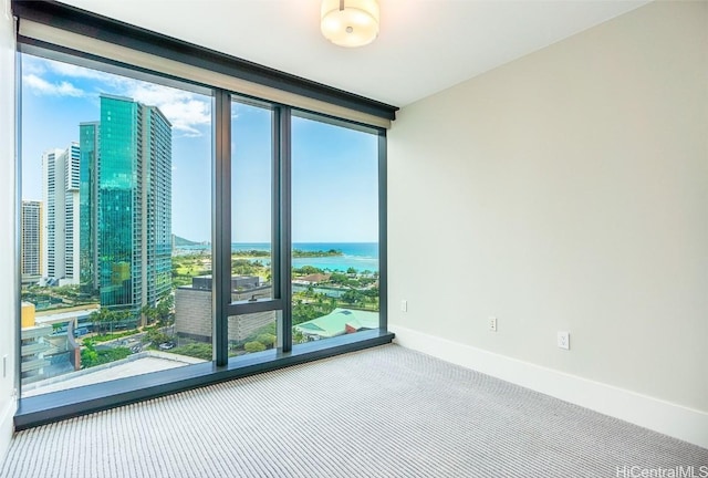 empty room with carpet floors, expansive windows, baseboards, and a wealth of natural light