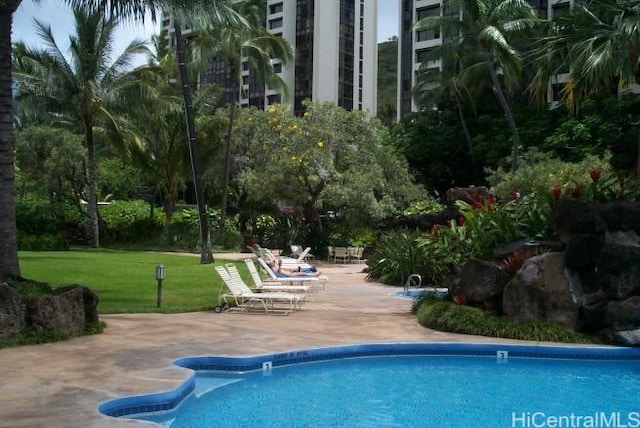 community pool featuring a patio area and a lawn