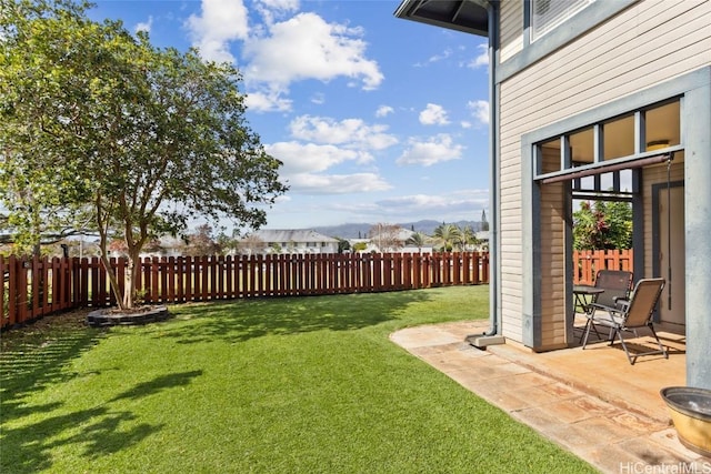 view of yard with a fenced backyard and a patio