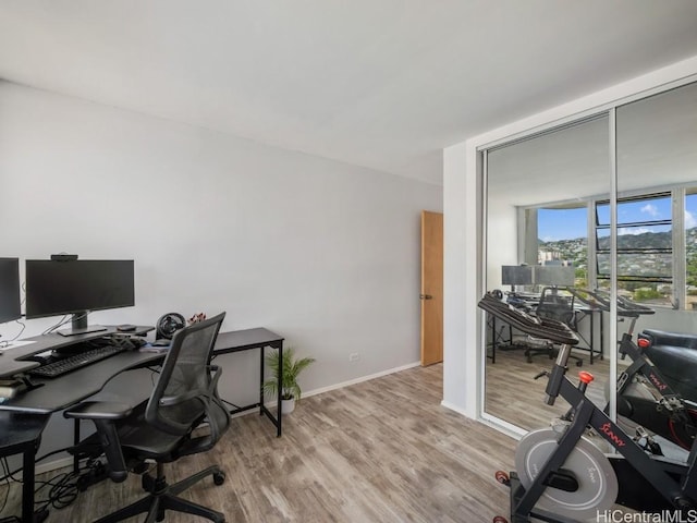 office space with floor to ceiling windows, baseboards, and wood finished floors