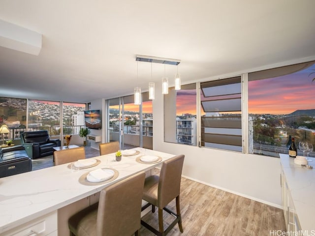 dining room featuring expansive windows and wood finished floors