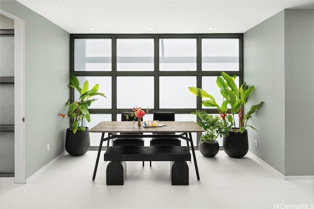 interior space with a wall of windows, baseboards, and a healthy amount of sunlight