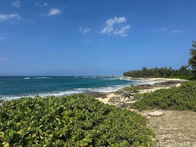 property view of water featuring a view of the beach