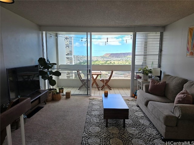 living room with carpet and a textured ceiling