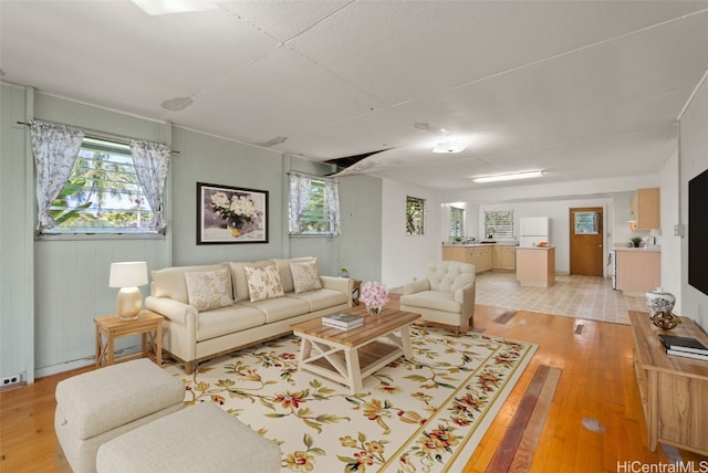 living room featuring a wealth of natural light and light wood-style flooring