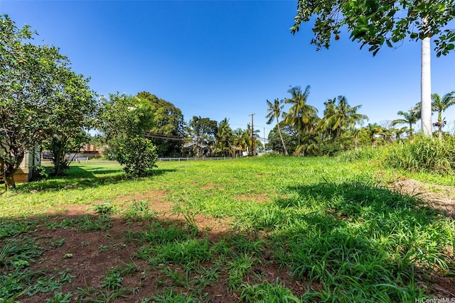 66-826 Haleiwa Rd, Haleiwa, HI 96712 - view of yard
