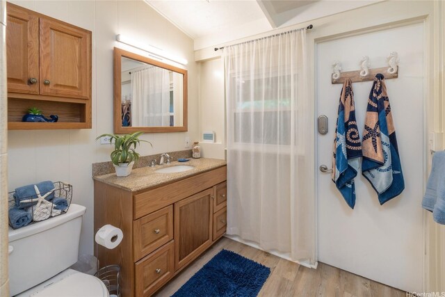 full bathroom with toilet, vanity, wood finished floors, and a shower with shower curtain