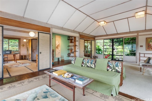 living area with lofted ceiling and wood finished floors