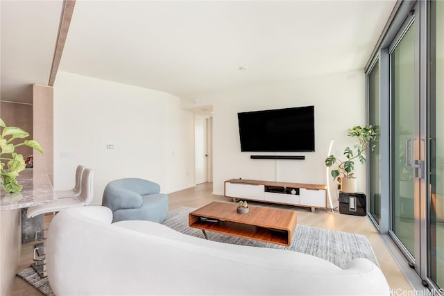 living area with expansive windows and light wood-style flooring