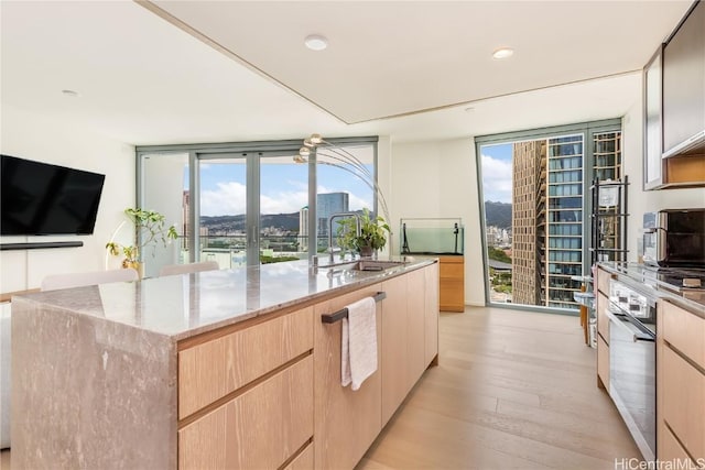 kitchen featuring a sink, light brown cabinets, light stone countertops, and floor to ceiling windows