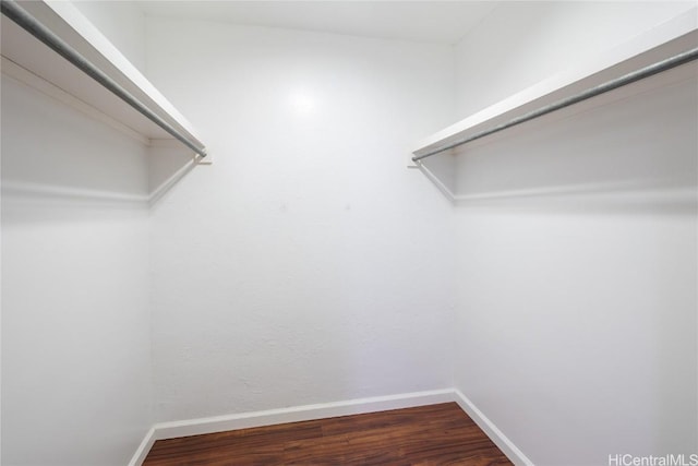 walk in closet with dark wood-style flooring