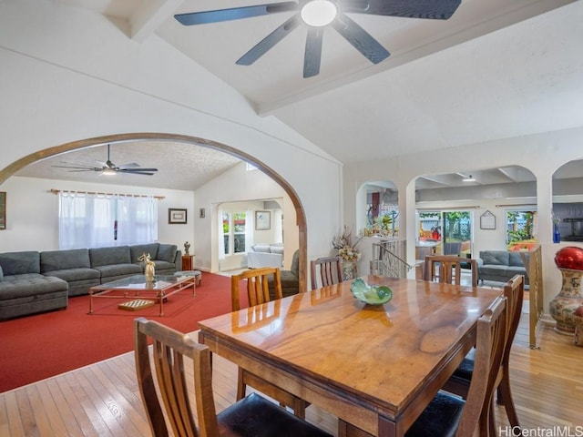 dining room featuring lofted ceiling with beams, light wood finished floors, and a wealth of natural light