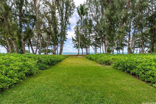 41-949 Laumilo St, Waimanalo, HI 96795 - view of green lawn with a water view