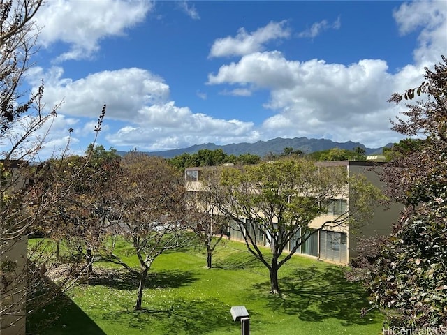 surrounding community featuring a lawn and a mountain view