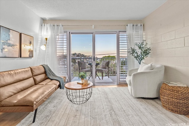 45-342 Lilipuna Rd Unit 307, Kaneohe, HI 96744 - living area featuring wood finished floors and a textured ceiling