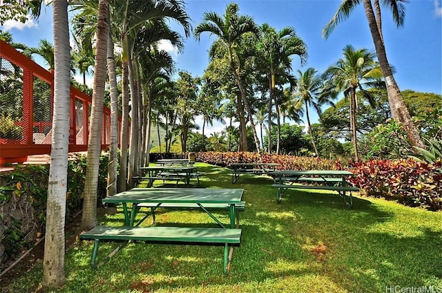 view of home's community with a yard