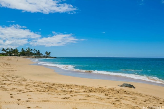 view of water feature with a beach view