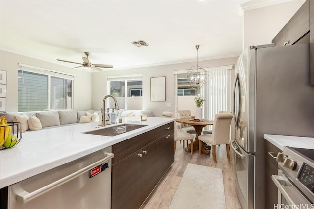 kitchen featuring dark brown cabinetry, light countertops, light wood-type flooring, appliances with stainless steel finishes, and a sink