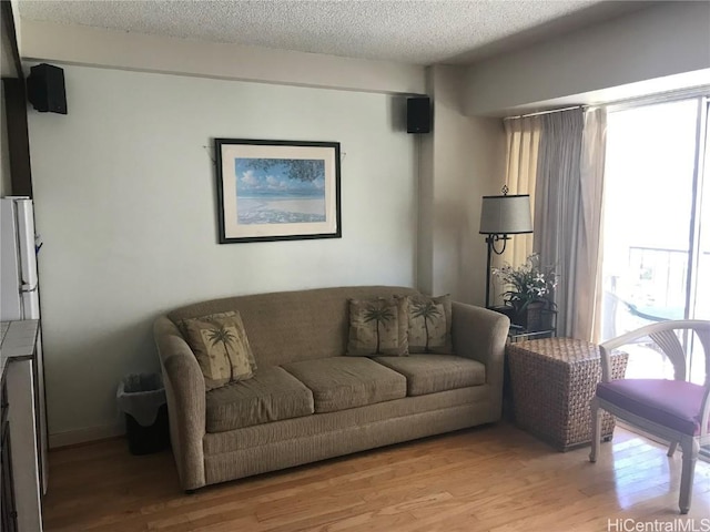 living area featuring light wood-style flooring and a textured ceiling