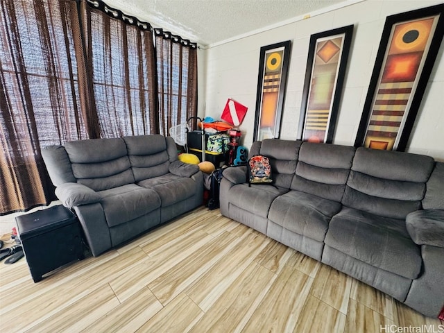 living room with a textured ceiling and wood finished floors