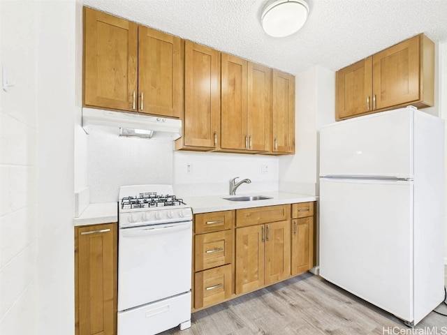 kitchen featuring under cabinet range hood, white appliances, light countertops, and a sink